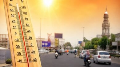 Heatwave grips Telangana, mercury soars to 46 degrees Celsius