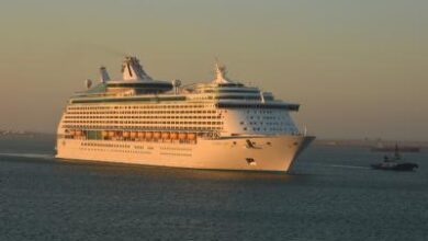 WHO reports hantavirus outbreak on Atlantic cruise ship; three dead, one critical