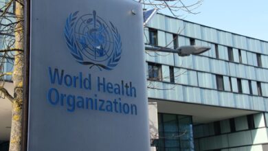 Hantavirus outbreak: 3 dead, 1 critical as WHO monitoring situation (Lead)