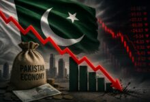Pakistan repeats aid-seeking behaviour without structural information: Report