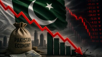 Pakistan repeats aid-seeking behaviour without structural information: Report