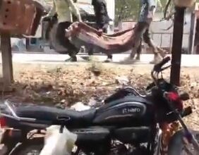 Viral video exposes lapse in mortuary services at MP hospital, Collector orders action