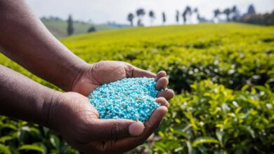 India has ample fertiliser stocks to meet farmers’ needs: Govt