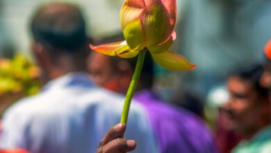 The Pasmanda Awakening: How Bengal’s verdict is rewriting Indian Muslim politics
