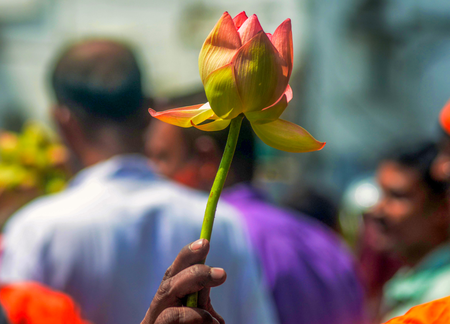 The Pasmanda Awakening: How Bengal’s verdict is rewriting Indian Muslim politics