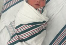 Rebel Wilson welcomes second daughter with wife Ramona: Feeling so incredibly grateful