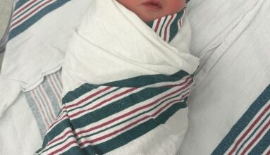Rebel Wilson welcomes second daughter with wife Ramona: Feeling so incredibly grateful