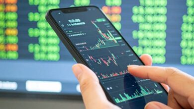 Domestic investors hit all-time high of 21 pc in Nifty 500