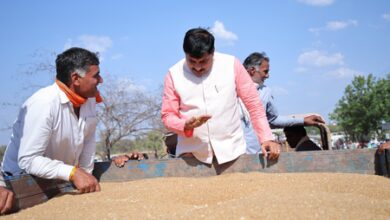 Wheat procurement: CM Yadav warns against negligence during surprise inspection in Ujjain