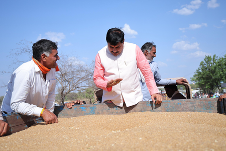 Wheat procurement: CM Yadav warns against negligence during surprise inspection in Ujjain
