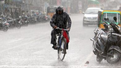 Heavy rain alert issued for several TN districts; strong winds likely