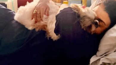 Farah Khan reveals she misses her pup the most wherever she’s in the world, apologises to kids