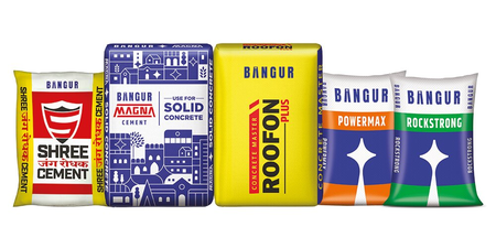 Shree Cement Q4 profit falls 8 pc, margins shrink on cost pressures