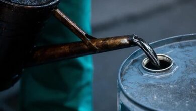 Oil sinks 10 pc on Iran peace hopes