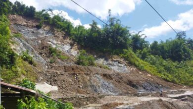 Nagaland varsity researchers advocate geospatial technology to tackle soil erosion in Northeast hills