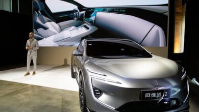 US lawmakers warn Trump on Chinese EV push