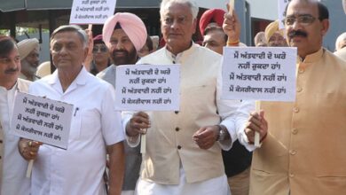 BJP accuses Kejriwal of trying to incite unrest in Punjab