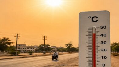 Heatwave conditions persist in MP despite rain forecast in some districts