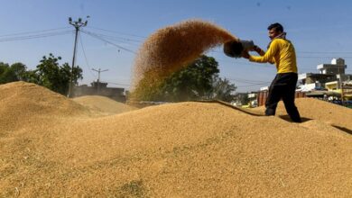 Centre rejects ‘glut’ claims in Punjab mandis, says wheat lifting higher than last year