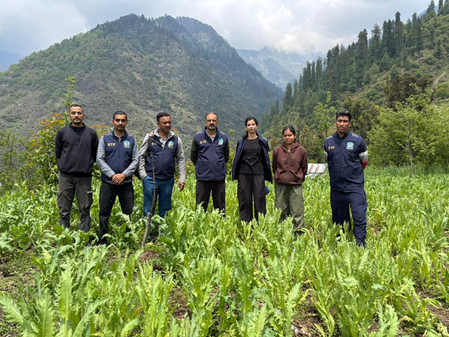 Himachal Police execute 19 preventive detention orders in drug crackdown​