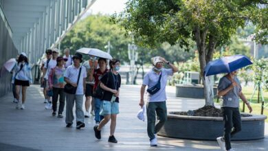 China set for first heat wave of 2026 in coming days