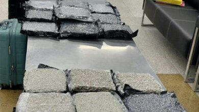 Hydroponic marijuana worth Rs 34.9 crore seized at Delhi airport from Bangkok passengers