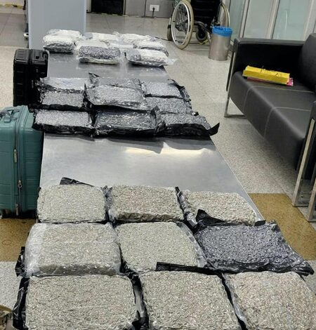 Hydroponic marijuana worth Rs 34.9 crore seized at Delhi airport from Bangkok passengers