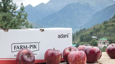 After Apple, Adani Agri Fresh to begin cherry procurement in Himachal; peaches and plums next
