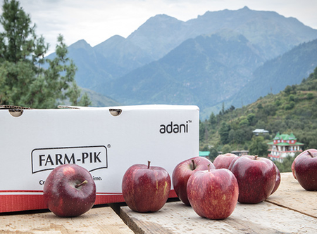 After Apple, Adani Agri Fresh to begin cherry procurement in Himachal; peaches and plums next