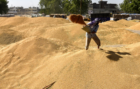 Wheat procurement at MSP to continue till May 23: MP govt​