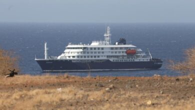 Two Indians on Hantavirus-hit Cruise Ship are safe: Embassy