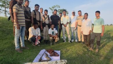 Assam: Three suspected rhino poachers held; arms and ammunition seized