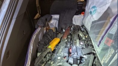 Fake licence hidden in body exposes Pakistani gun smuggling bid to Canada Fake licence hidden in body exposes Pakistani gun smuggling bid to Canada