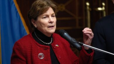 US Senators urge Trump to approve Taiwan arms deal ahead of Xi summit