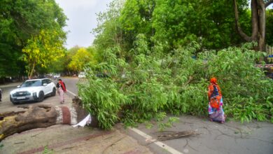 Thunderstorm, heavy rain claim 89 lives in UP; CM Yogi orders immediate relief