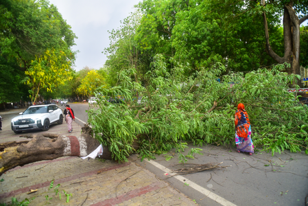 Thunderstorm, heavy rain claim 89 lives in UP; CM Yogi orders immediate relief