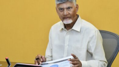 Andhra Pradesh CM orders action plan to tackle cyber, financial crimes