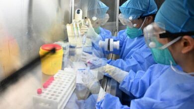 Norovirus outbreak confirmed aboard cruise ship in France’s Bordeaux
