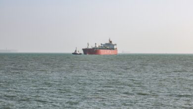 2 India-bound LPG vessels safely cross Strait of Hormuz: Centre