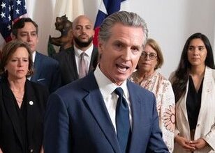 California Governor appoints Indian American to Structural Pest Control Board