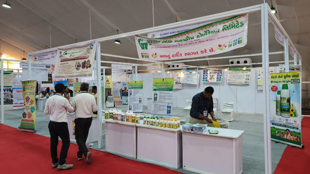 Gujarat: Farmers to sell mangoes, GI-tagged dates directly at ‘Kesar Mango Festival-2026’