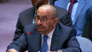 UAE rejects Iran’s allegations at BRICS meet