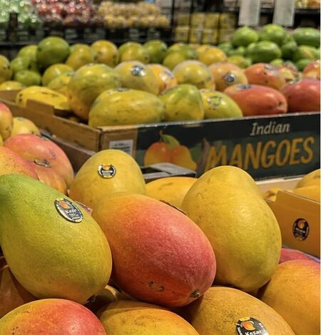 Indian mangoes arrive in Seattle stores