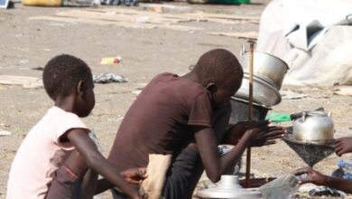 Nearly 19.5 million people in Sudan facing acute food insecurity: UN