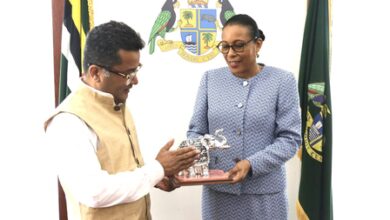 MoS Pabitra Margherita calls on Dominican President, discusses strengthening bilateral ties
