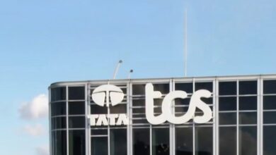 TCS scales up ‘Human+AI’ strategy amid enterprise AI push: Chairman N Chandrasekaran