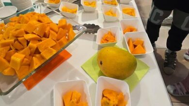 US: Anxious wait ends as Indian mangoes arrive in Seattle stores