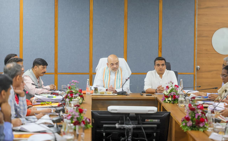 Gujarat: HM Amit Shah calls for 70 pc beautification, 30 pc tree plantation around lakes
