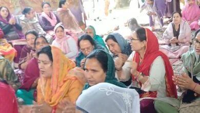 For ‘Sumbli Mawas’ festival, Kashmiri Pandits return to J&K’s Bandipora after 36 years