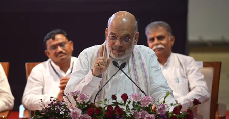 BJP, NDA governments now rule 80 pc of India, says Amit Shah